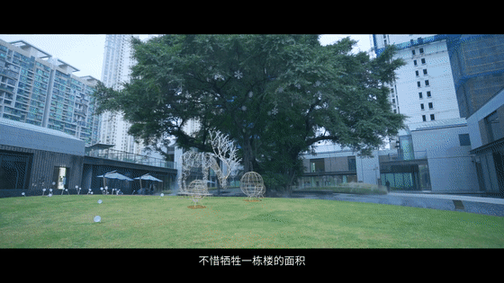 微信图片_20210127170556.gif